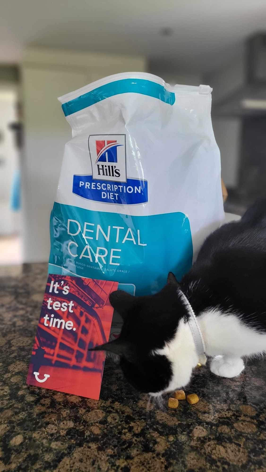 605853 Hill's Prescription Diet t/d Dental Care Dry Cat Food