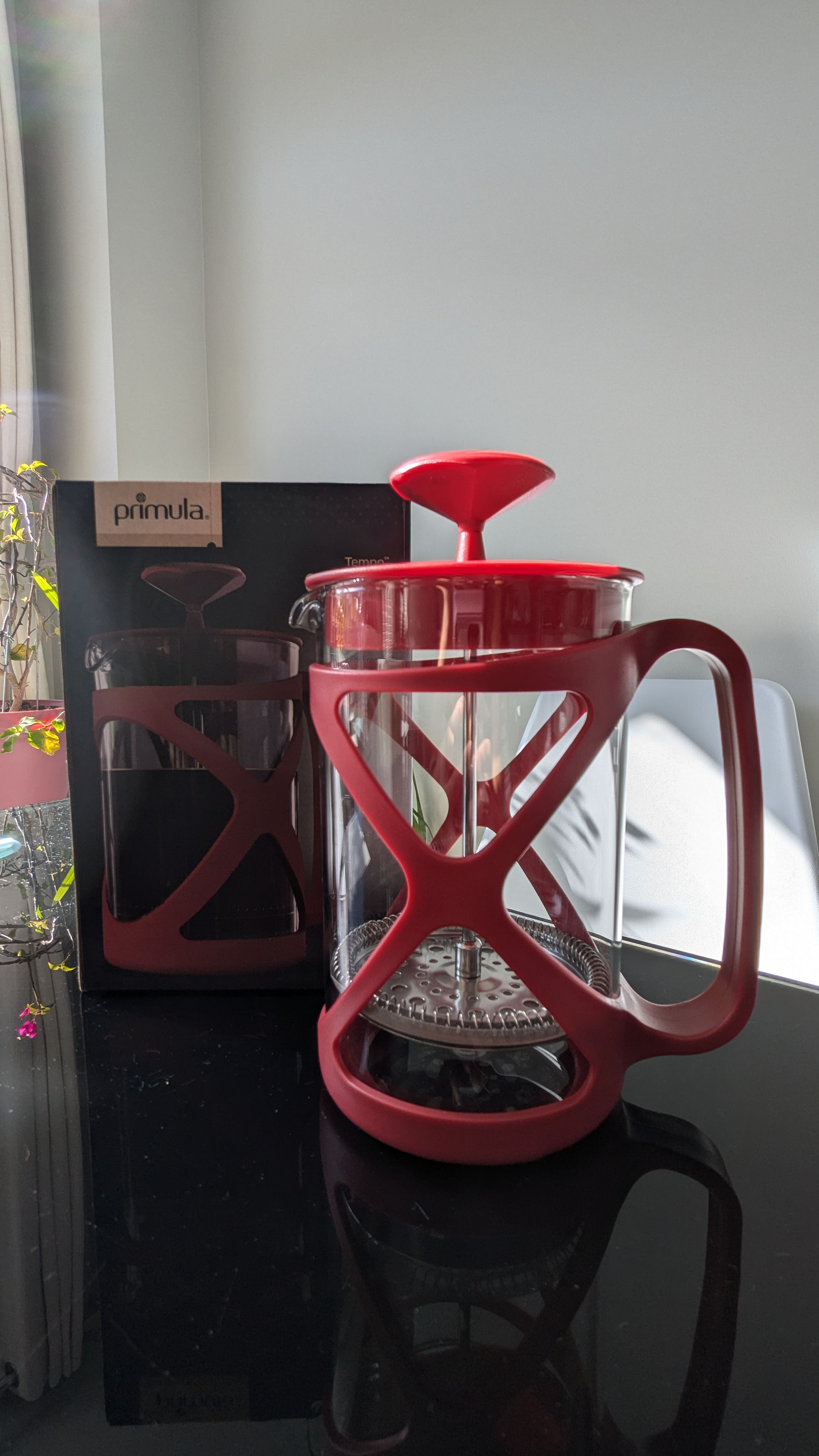 Primula Tempo French Press – 24 Oz, Borosilicate Glass, Premium Stainless Steel Filter, Cotton Candy Pink